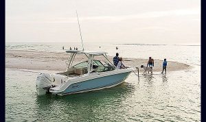 Boston Whaler 240 Vantagem www.mareconsult.com.br (6)