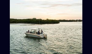 Boston Whaler 240 Vantagem www.mareconsult.com.br (9)