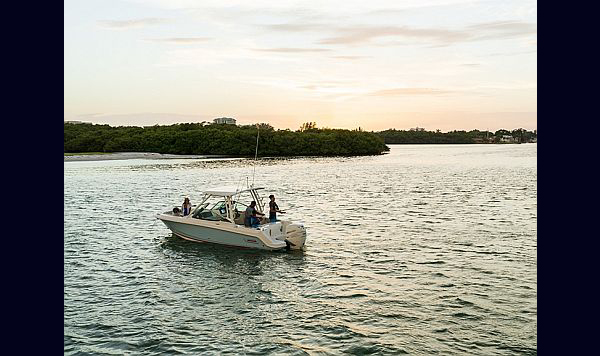 Boston Whaler 240 Vantagem www.mareconsult.com.br (9)