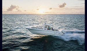 Boston Whaler 330 Outrage www.mareonsult.com.br (3)c