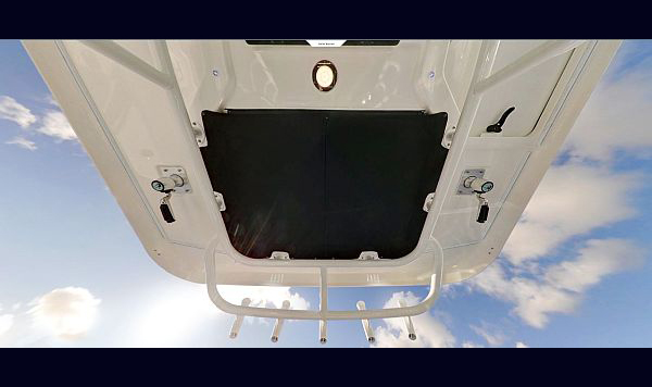 Boston Whaler 330 Outrage www.mareonsult.com.br (8)