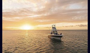 Boston Whaler 360 Outrage www.mareconsult.com.br (1)
