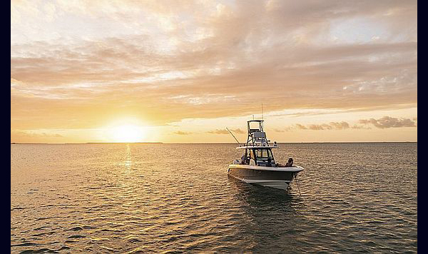 Boston Whaler 360 Outrage www.mareconsult.com.br (1)