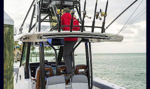 Boston Whaler 360 Outrage www.mareconsult.com.br 3 (7)