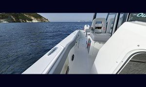 Boston Whaler 360 Outrage www.mareconsult.com.br 4 (10)d