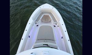 Boston Whaler 380 Outrage www.mareconsult.com.br (13)