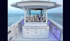 Boston Whaler 380 Outrage www.mareconsult.com.br (14)