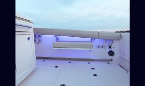 Boston Whaler 380 Outrage www.mareconsult.com.br (15)