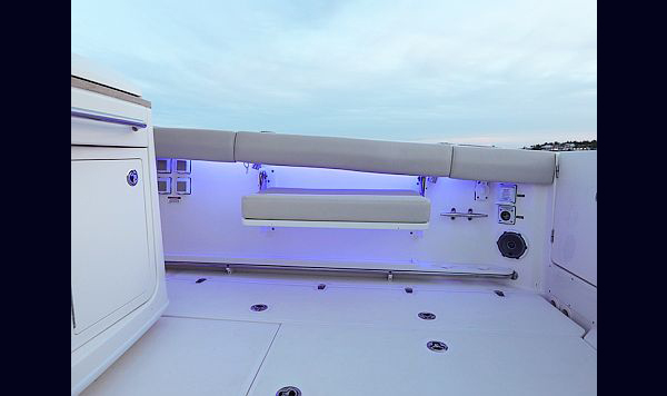 Boston Whaler 380 Outrage www.mareconsult.com.br (15)