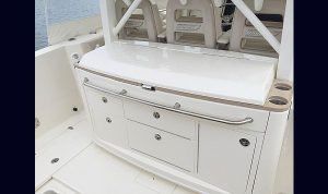 Boston Whaler 380 Outrage www.mareconsult.com.br (18)