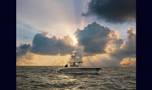 Boston Whaler 380 Outrage www.mareconsult.com.br (4)