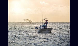 Boston Whaler Montauk 170 www.marecoonsult.com.br (14)