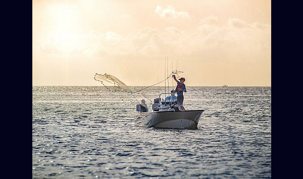 Boston Whaler Montauk 170 www.marecoonsult.com.br (14)