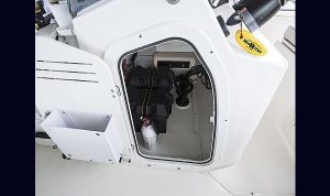 Boston Whaler Montauk 170 www.marecoonsult.com.br (31)