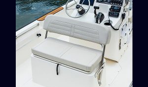 Boston Whaler Montauk 170 www.marecoonsult.com.br (33)