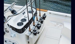 Boston Whaler Montauk 170 www.marecoonsult.com.br (34)