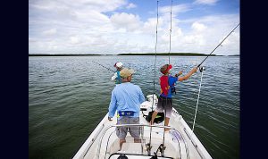 Boston Whaler Montauk 170 www.marecoonsult.com.br (42)