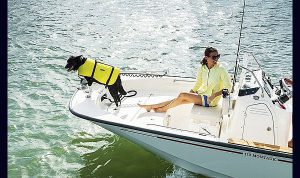 Boston Whaler Montauk 170 www.marecoonsult.com.br (7)