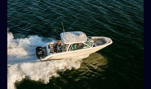 Boston Whaler Vantage 30 www.mareconsult.com.br (2)