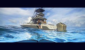 Boston Whalern 420 Outage www.mareconsult.com.br (1)