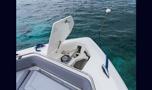 Boston Whalern 420 Outage www.mareconsult.com.br (8)
