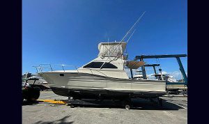 Carbras Mar 41 1987 www.mareconsult.com (1)