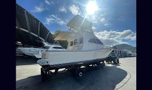 Carbras Mar 41 1987 www.mareconsult.com (2)