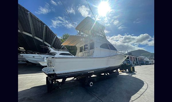 Carbras Mar 41 1987 www.mareconsult.com (2)