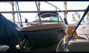 Evolutiona 310 2011 a venda www.mareconsult.com.br (6)