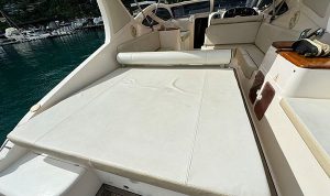 Real Power Boat 38 2015 www.mareconsult.com.br (2)