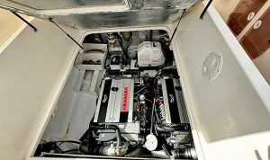 Real Power Boat 38 2015 www.mareconsult.com.br (26)