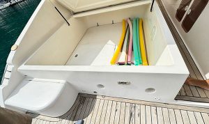 Real Power Boat 38 2015 www.mareconsult.com.br (4)