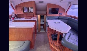 Rio Star 45 2000 www.mareconsult.com.br (11)