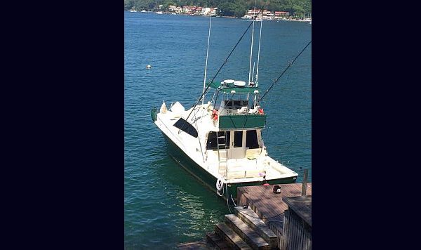 Rio Star 45 2000 www.mareconsult.com.br (4)