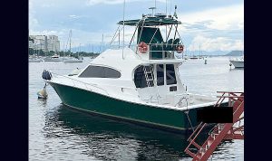 Rio Star 45 2000 www.mareconsult.com.br (5)