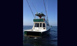 Rio Star 45 2000 www.mareconsult.com.br (6)