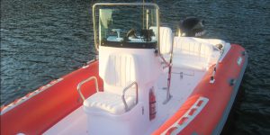 SR 550 LX mareconsult.com.br (9)