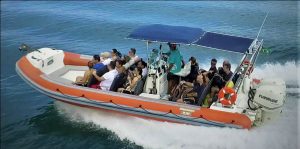 Flexboat SR 750 T www.mareconsult.com.br (10)