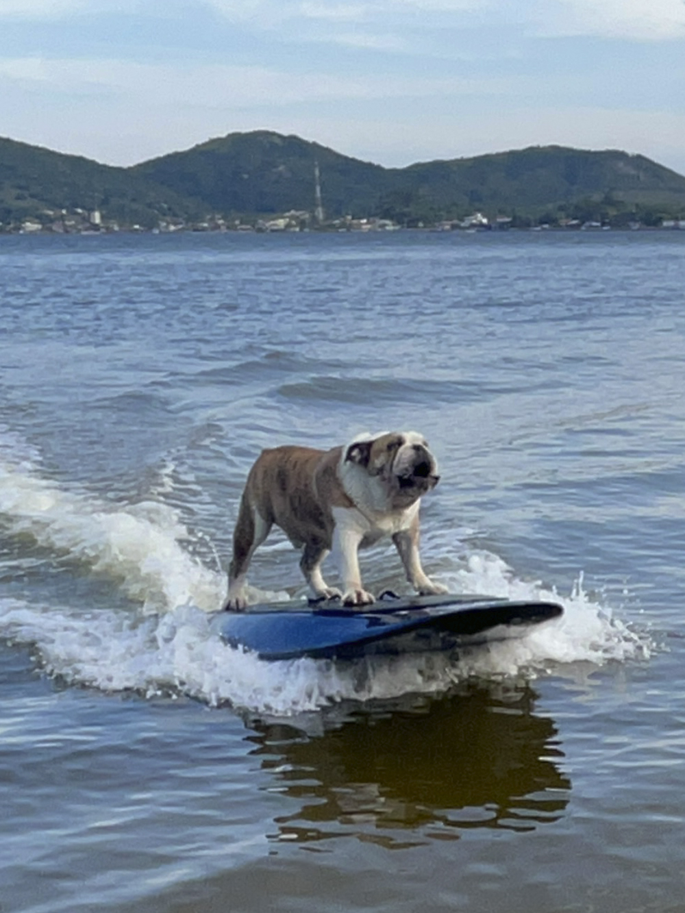 Prancha eletrica motorizada jetboard sharkx surf waves freeride www.mareconsult.com.br (1)a