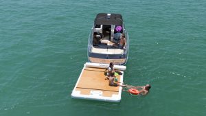 Quickdeck www.mareconsult.com.br (42)