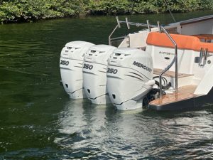 Fishing Raptor 390 Saint Tropez 2020 www.mareconsult.com.br (4)