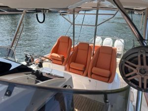 Fishing Raptor 390 Saint Tropez 2020 www.mareconsult.com.br (9)