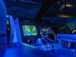 Boston Whaler 365 Conquest www.mareconsult.com.br (4)