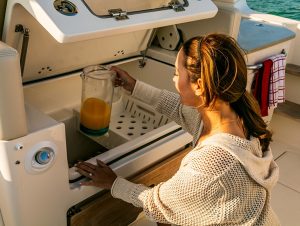 Boston Whaler Realm 3502 www.mareconsult.com.br (25)