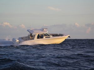 Boston Whaler Realm 3502 www.mareconsult.com.br (5a) (11)