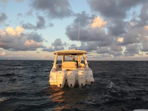 Boston Whaler Realm 3502 www.mareconsult.com.br (5a) (12)