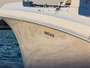 Boston Whaler Realm 3502 www.mareconsult.com.br (5a) (6)