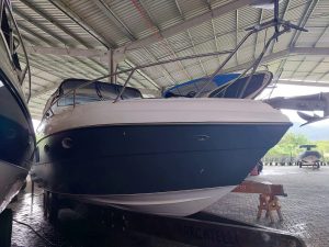 Cimitarra 340 2009 www.mareconsult.com.br (3)