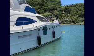 Brasil Cat 190 2009 www.mareconsult.com.br (6)