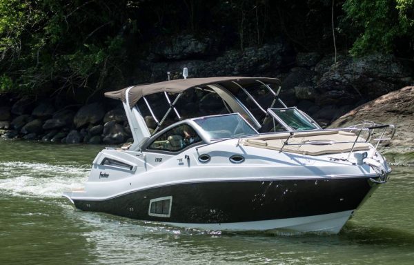 FOCKER 330 GT BLACK EDITION 2020